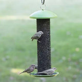 Outdoor Metal Mesh Tube Hanging Bird Feeder with Green Top and Perch