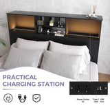 Queen size Bookcase Headboard in Black Wood Finish with LED Lights